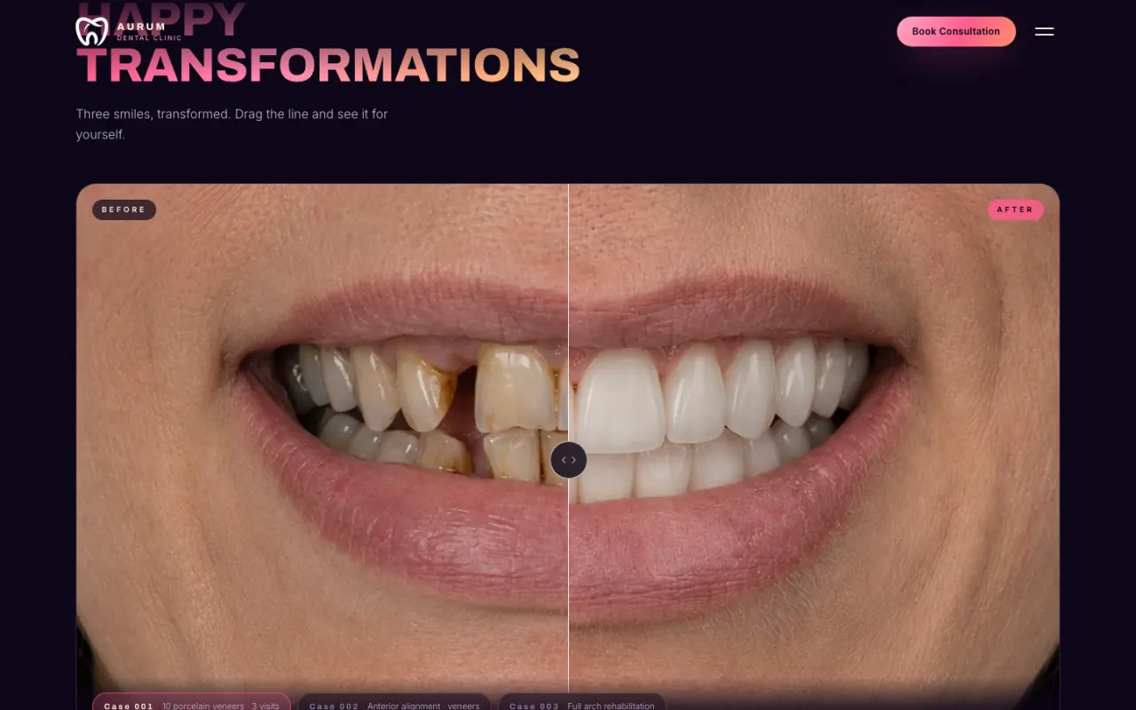 Leonida website direction: inner section